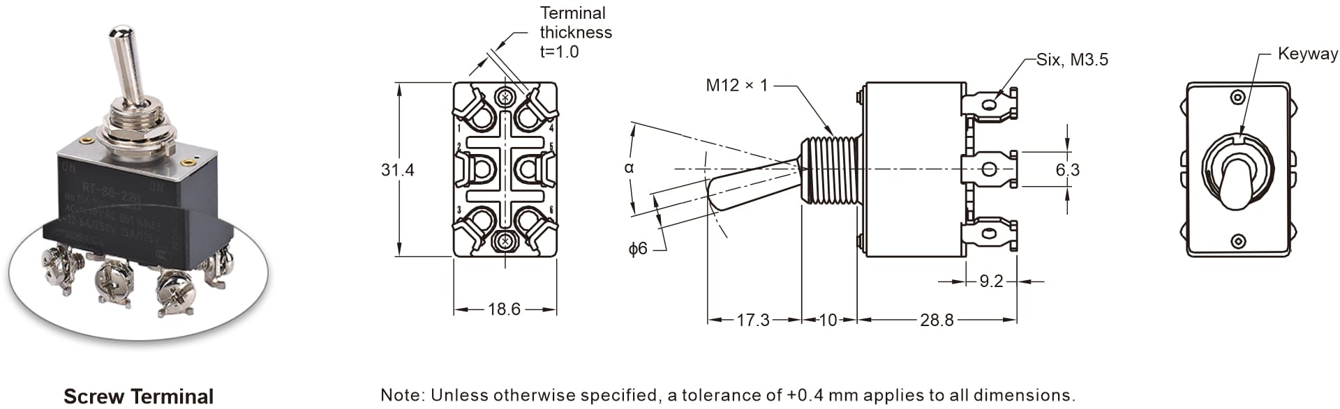 General Purpose Toggle Switch (1)