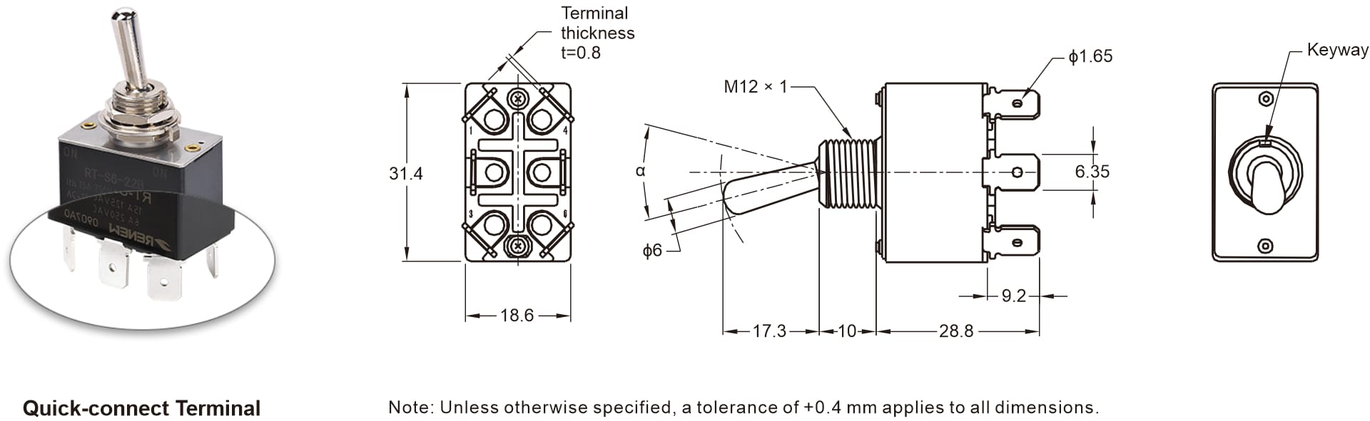 General Purpose Toggle Switch (2)