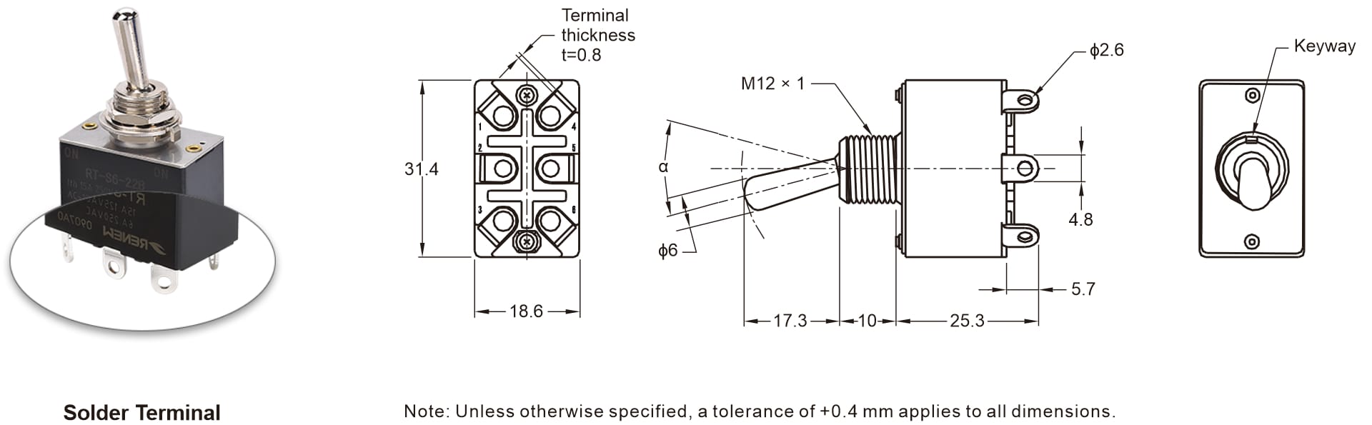 General Purpose Toggle Switch (3)